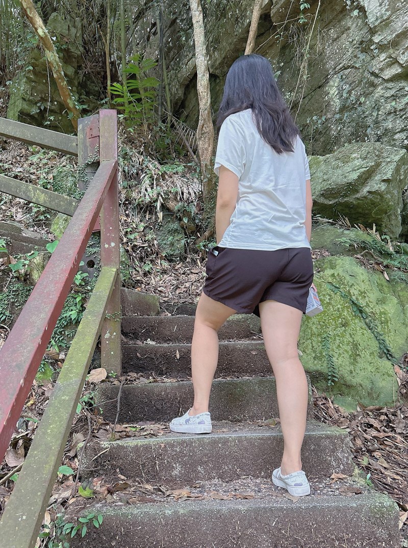 試用